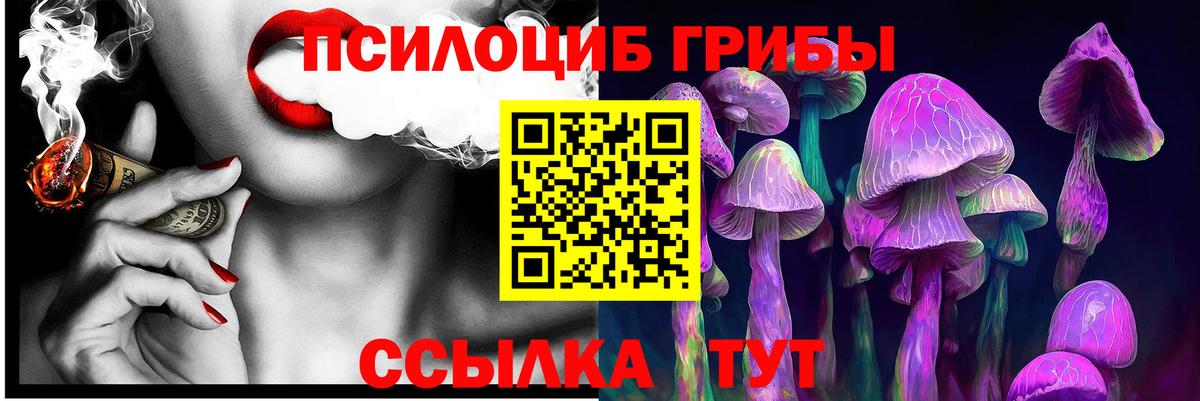 Галлюциногенные грибы Cubensis Черемхово